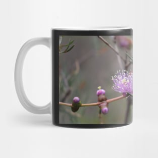 Graceful Honey-Myrtle Mug